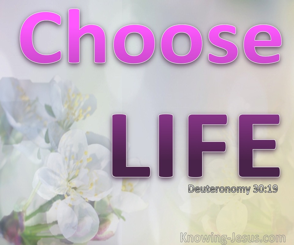 Deuteronomy 30:19 Choose Life Or Death (pink)